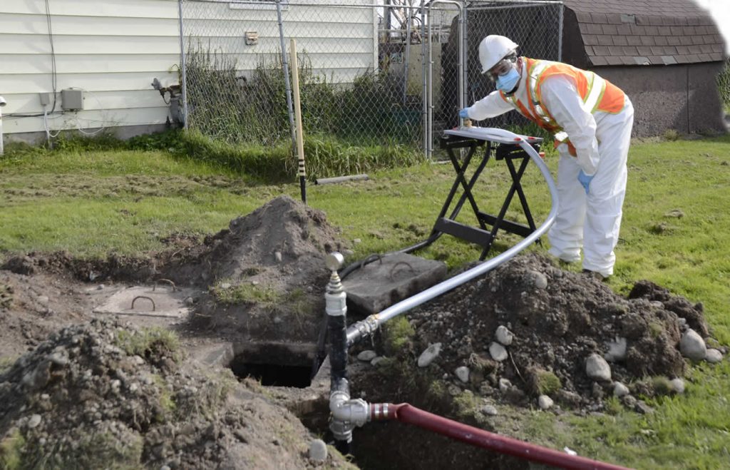 Bacteria Improve Septic Tank